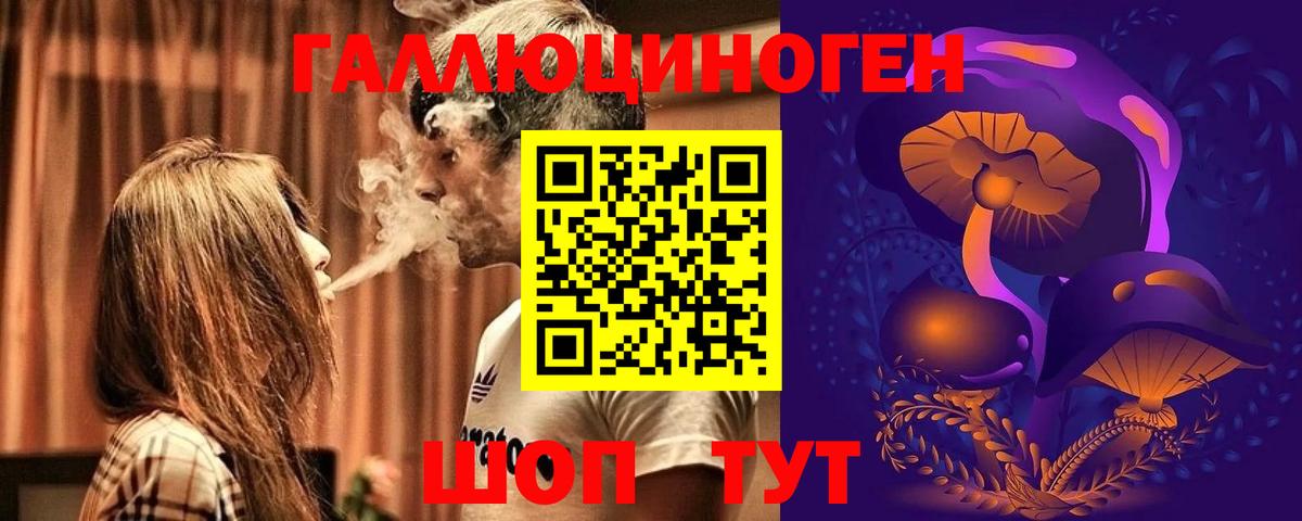 Евпатория  Псилоцибиновые грибы Cubensis  Вход с VPN  Псилоцибиновые грибы Psilocybe 